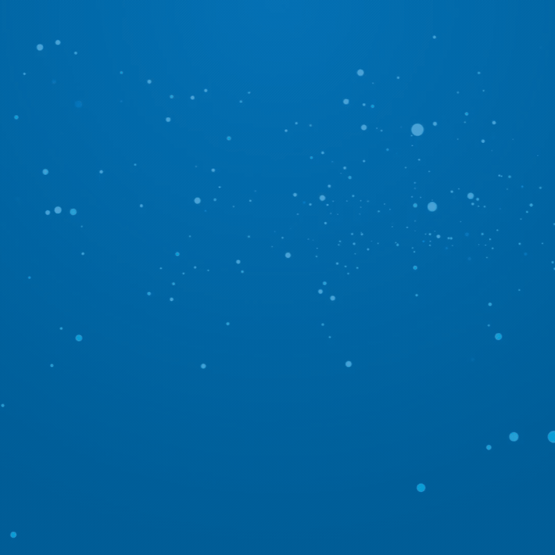 Bo Nadal e Feliz 2026!